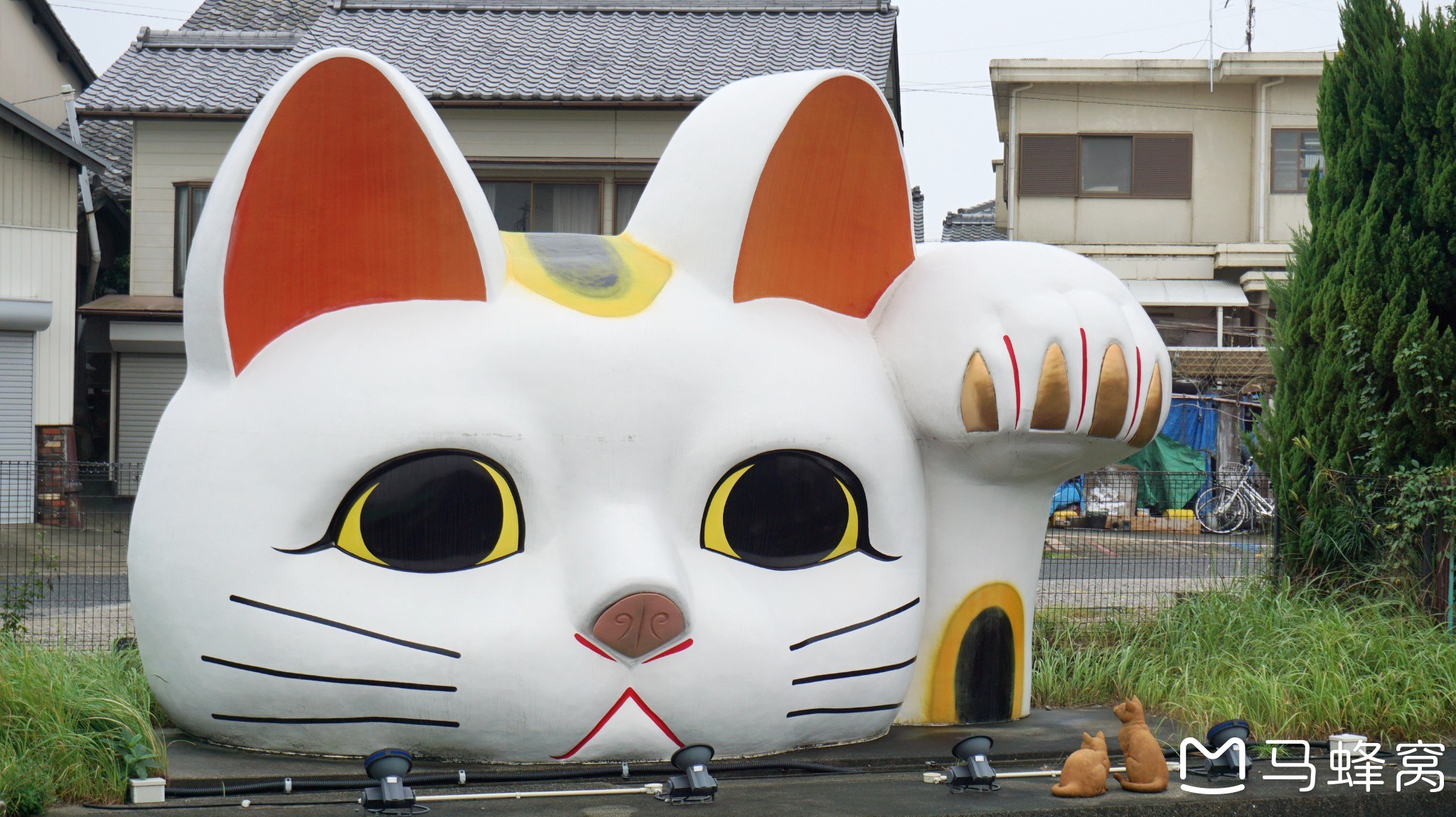 6天日本,带你玩转名古屋の常滑招財貓