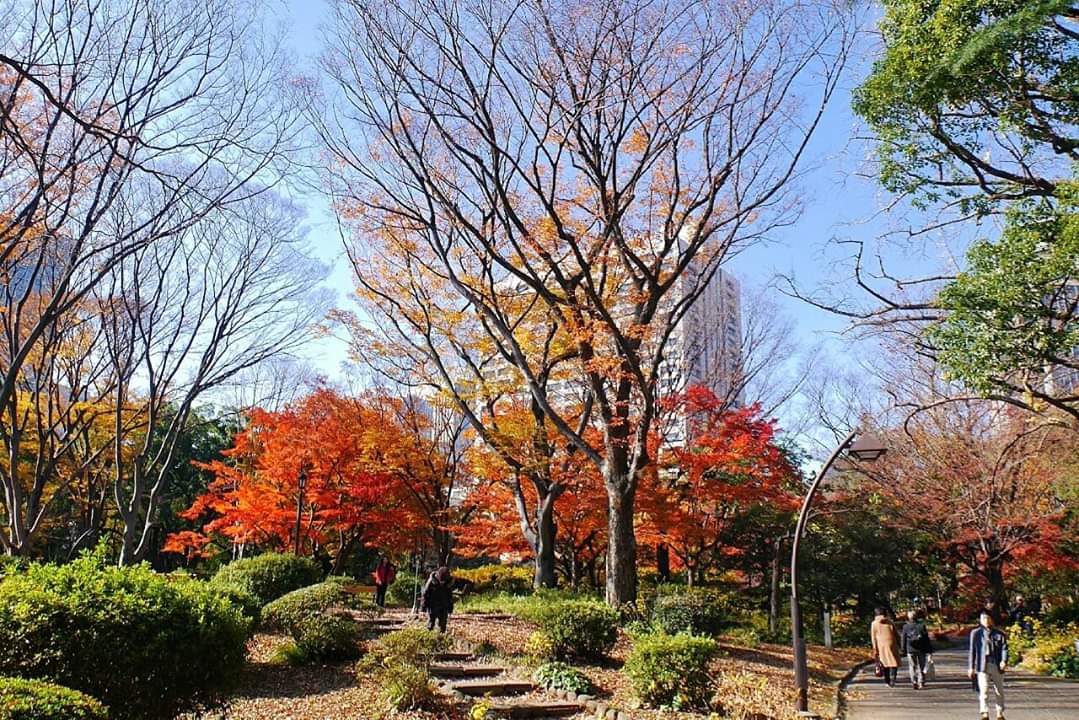 東京自助遊攻略