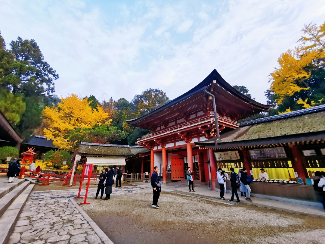 京都自助遊攻略