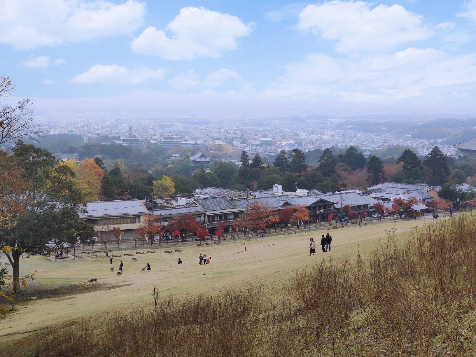 京都自助遊攻略