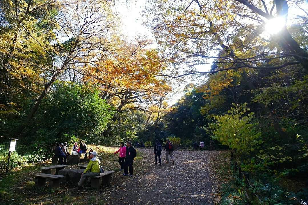 東京自助遊攻略