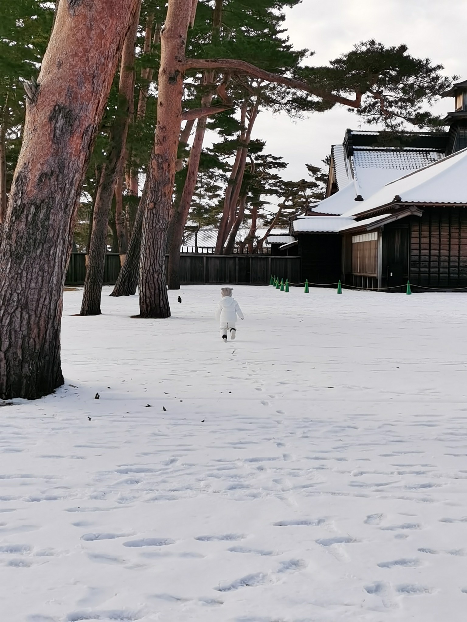 北海道自助遊攻略