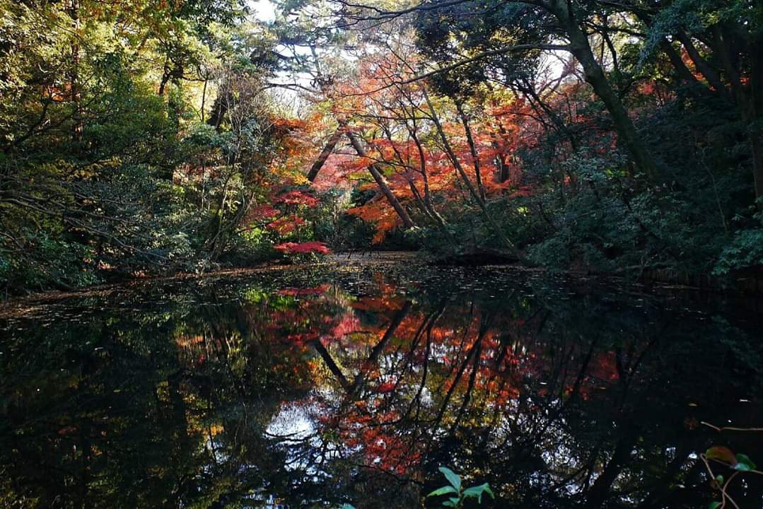 東京自助遊攻略