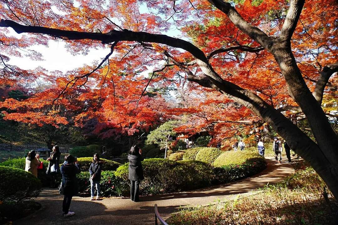 東京自助遊攻略