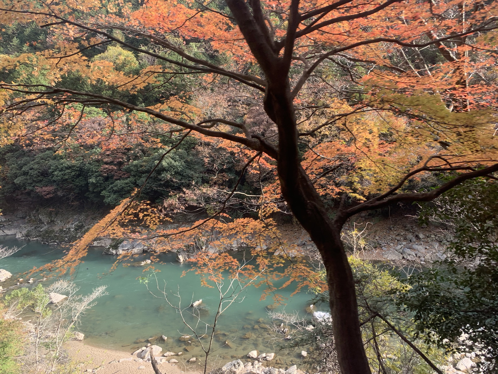 京都自助遊攻略