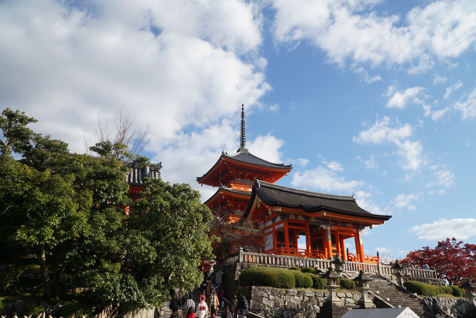 東京自助遊攻略