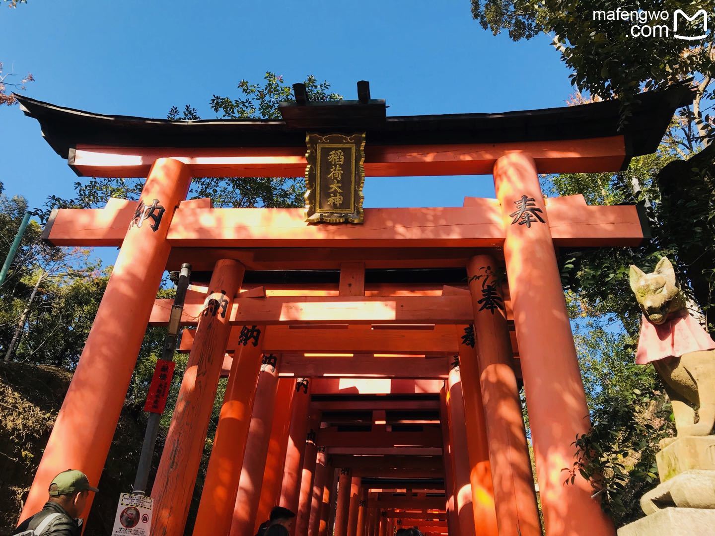 京都自助遊攻略