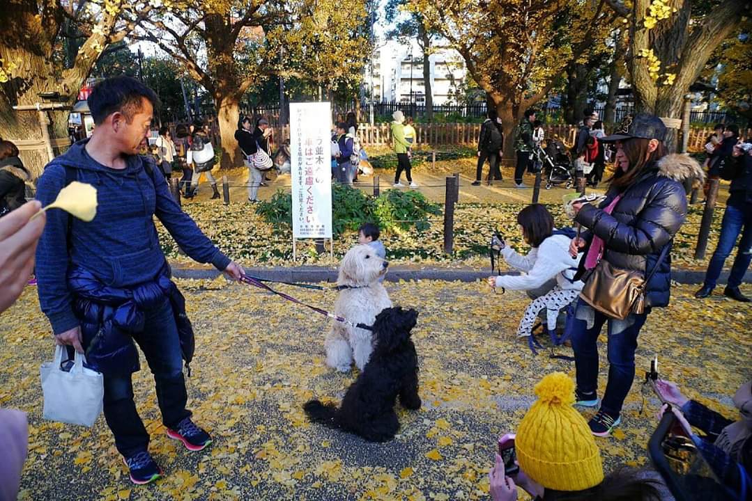 東京自助遊攻略