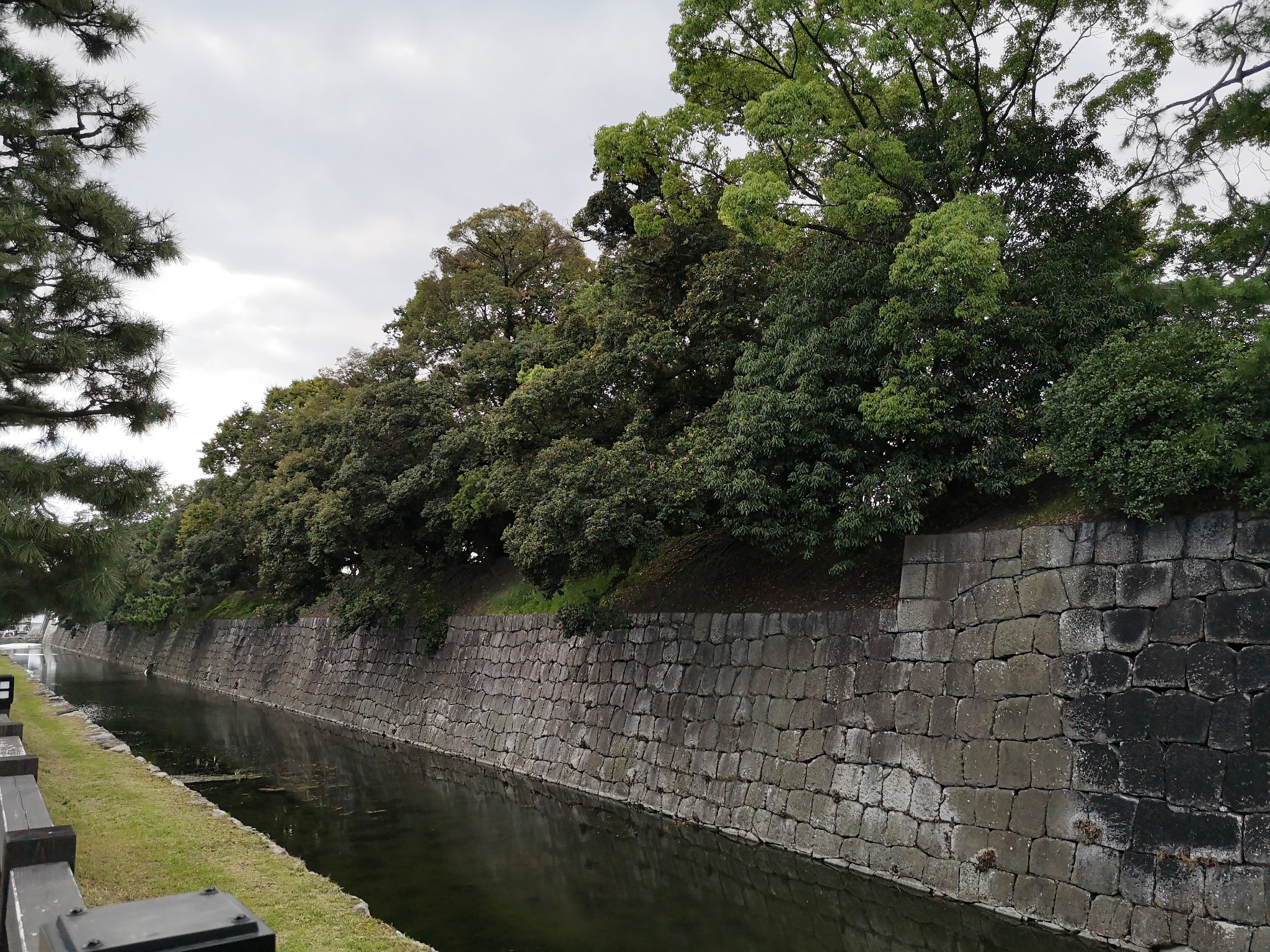 京都自助遊攻略