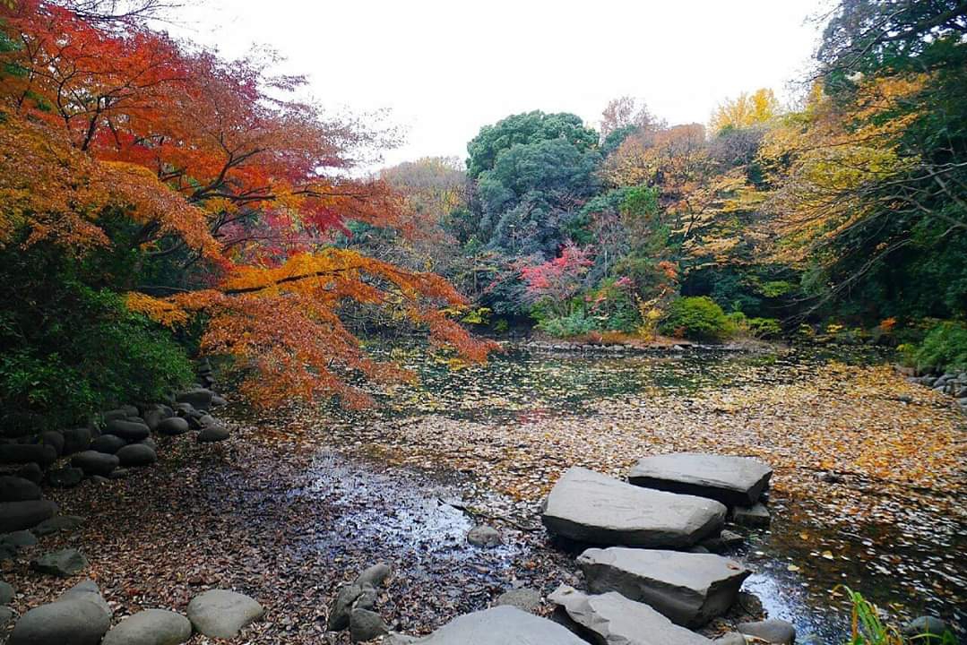 東京自助遊攻略