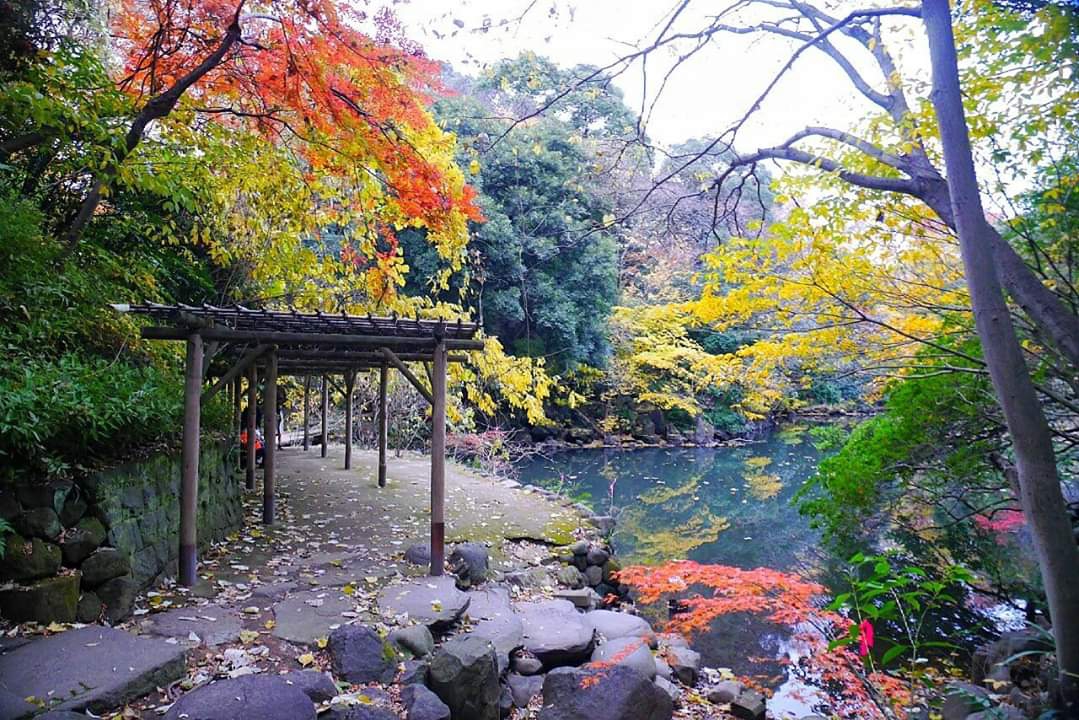 東京自助遊攻略