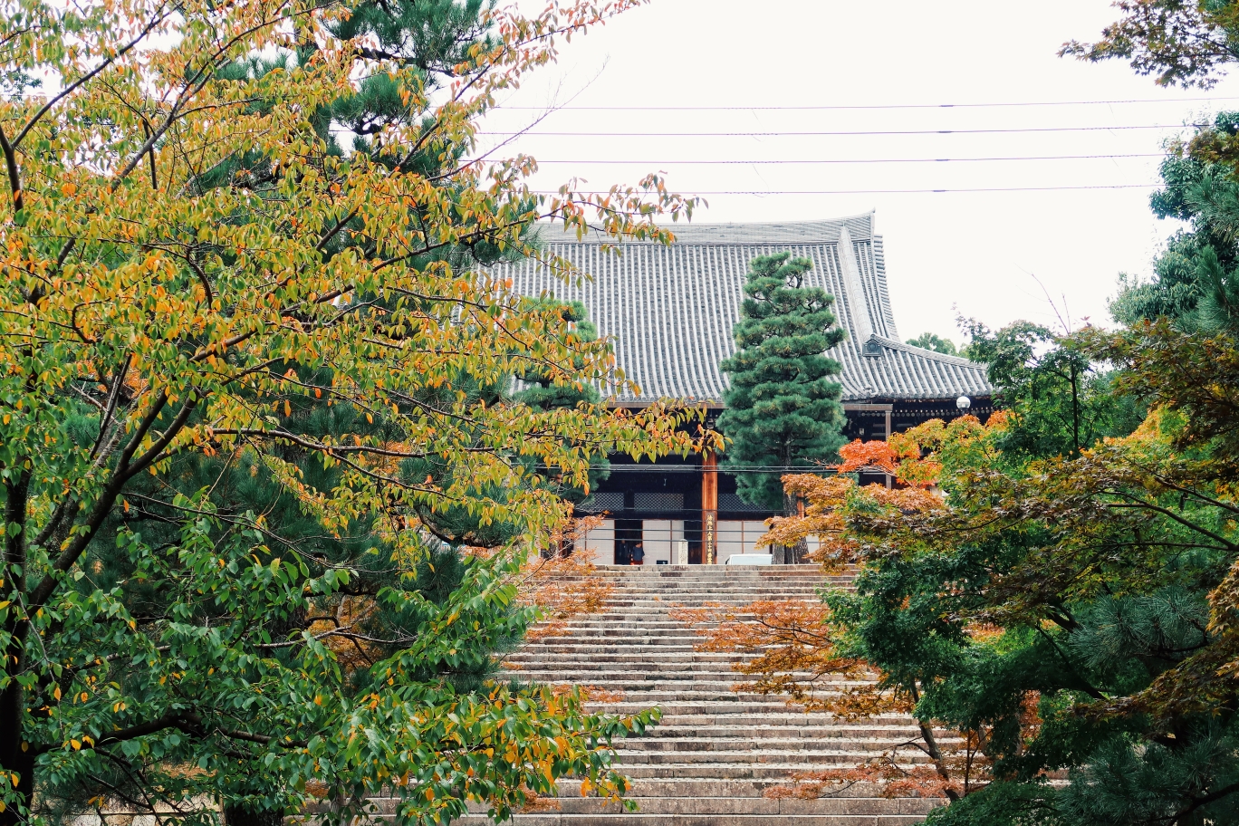 京都自助遊攻略