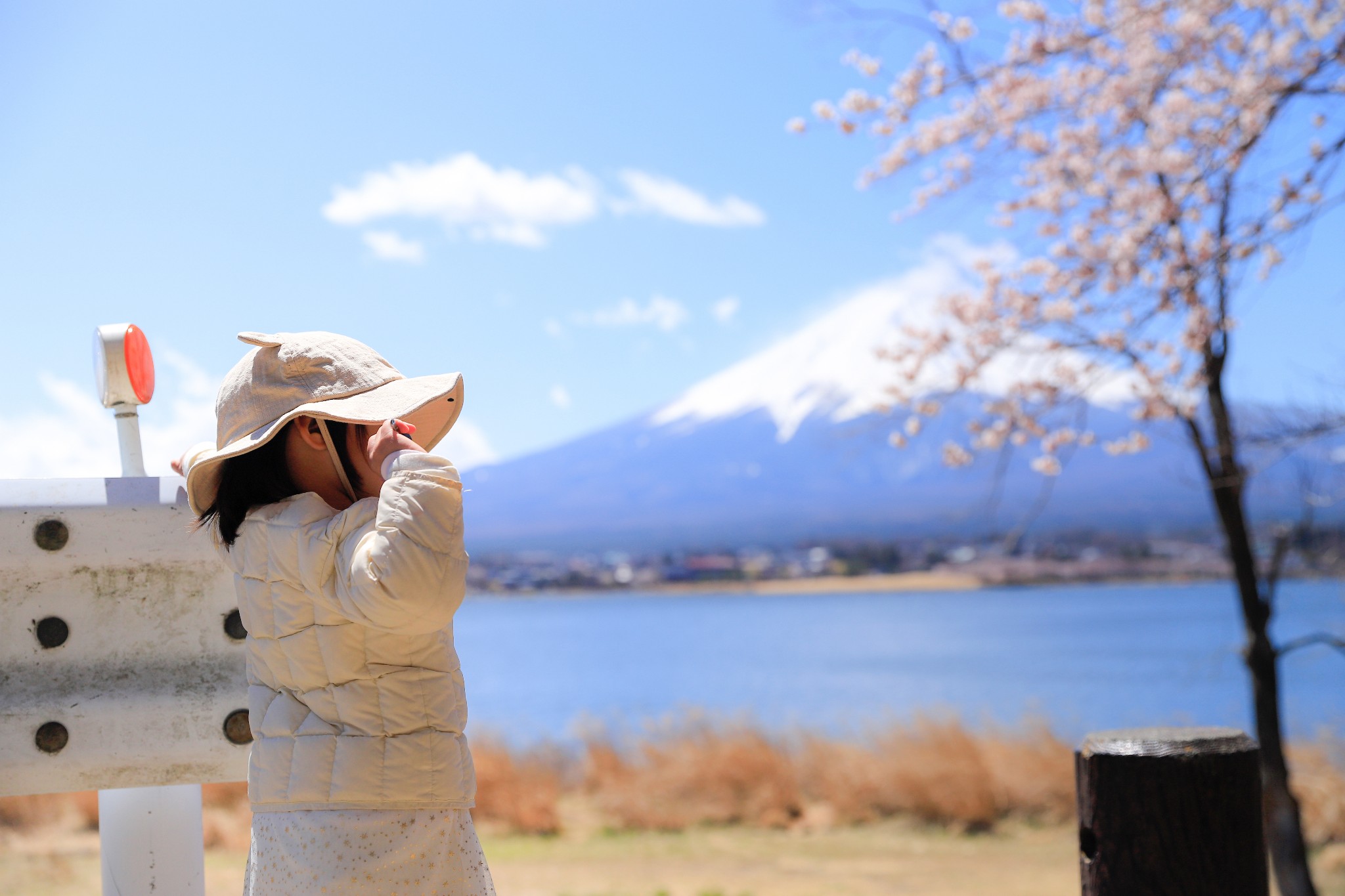 富士山自助遊攻略