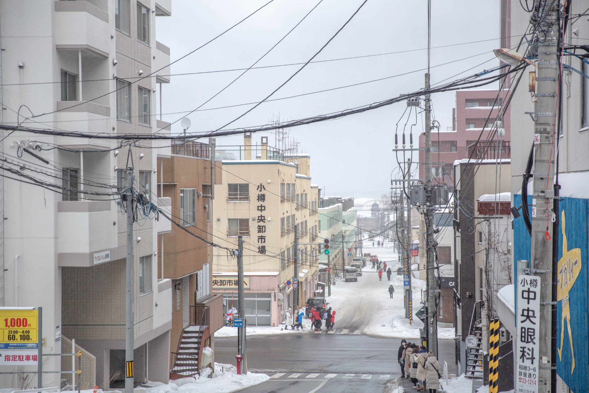 北海道自助遊攻略