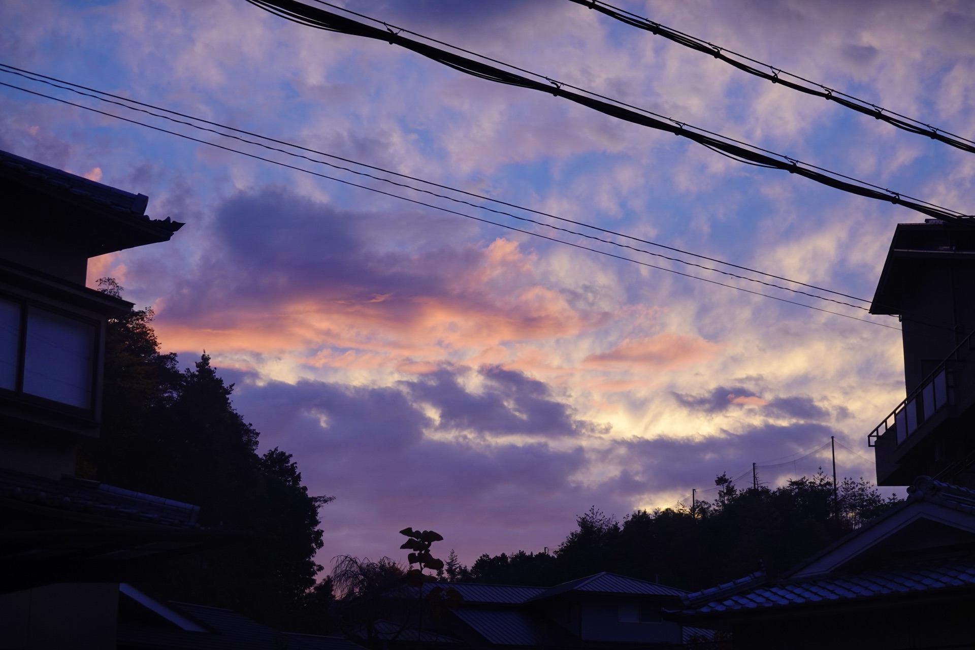 京都自助遊攻略