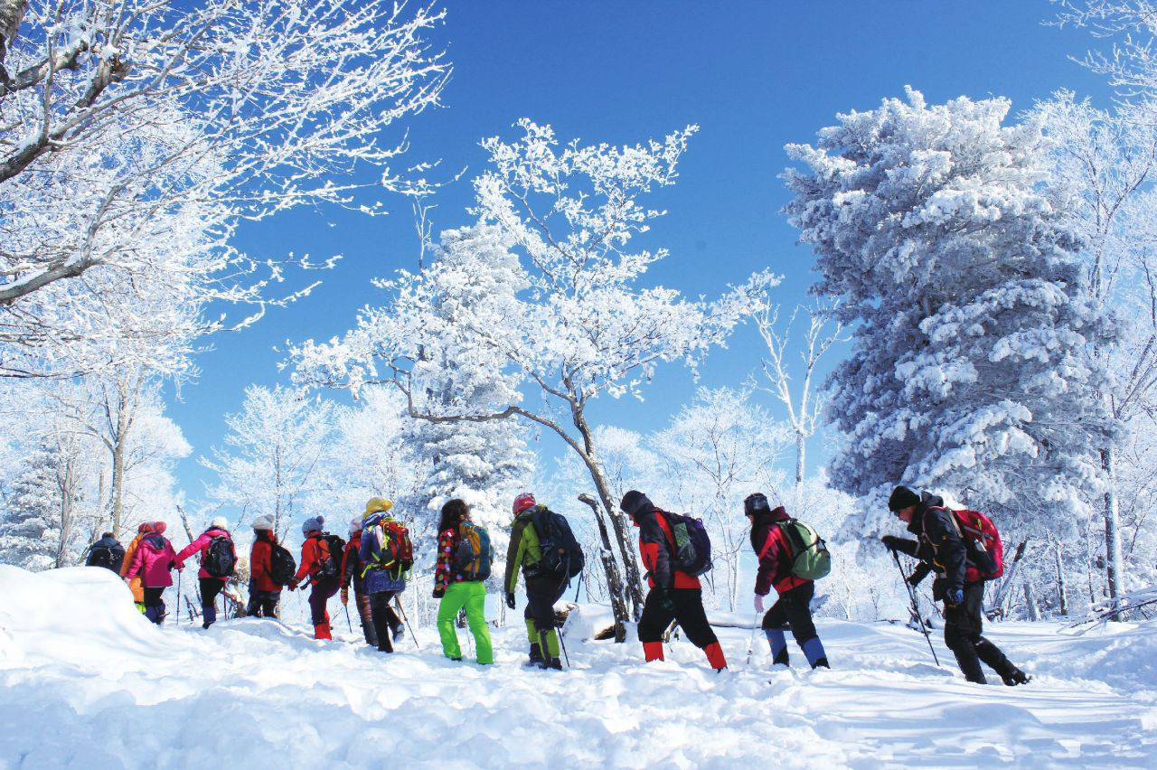 长白山红松王滑雪场2小时滑雪票