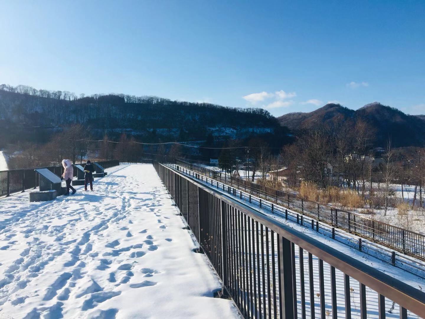 北海道自助遊攻略