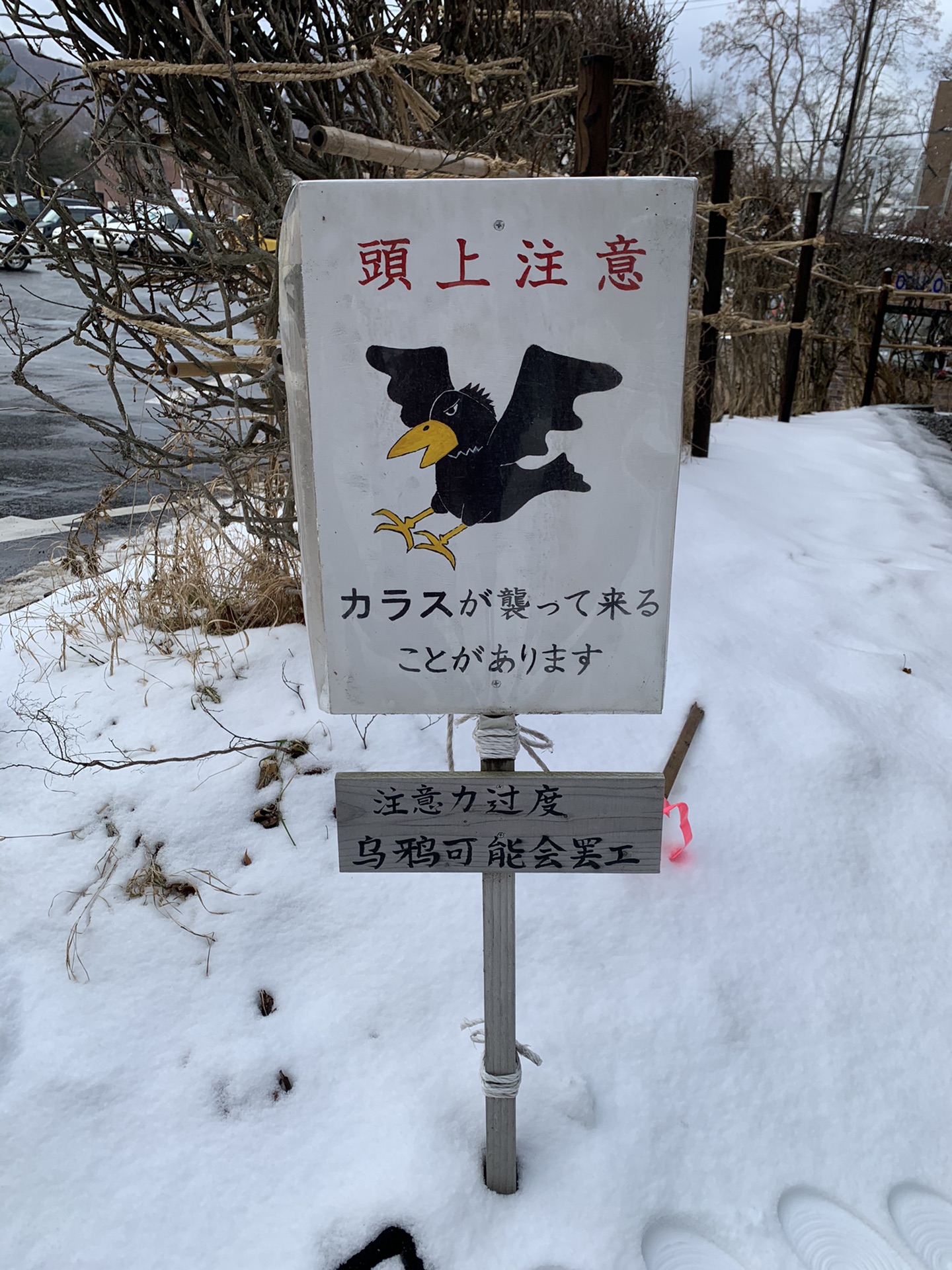 北海道自助遊攻略