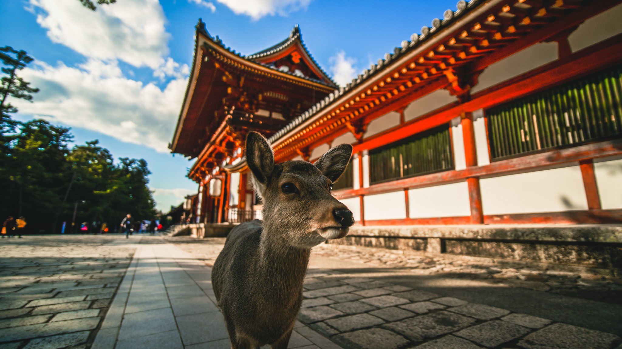 大阪自助遊攻略