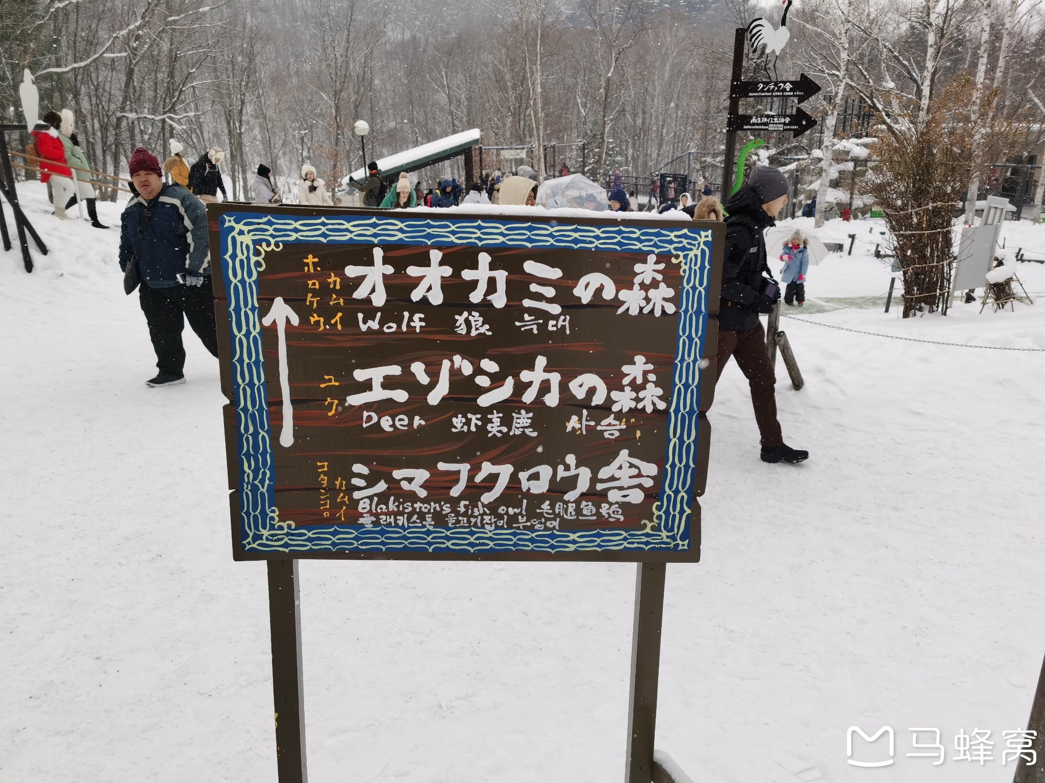 北海道自助遊攻略