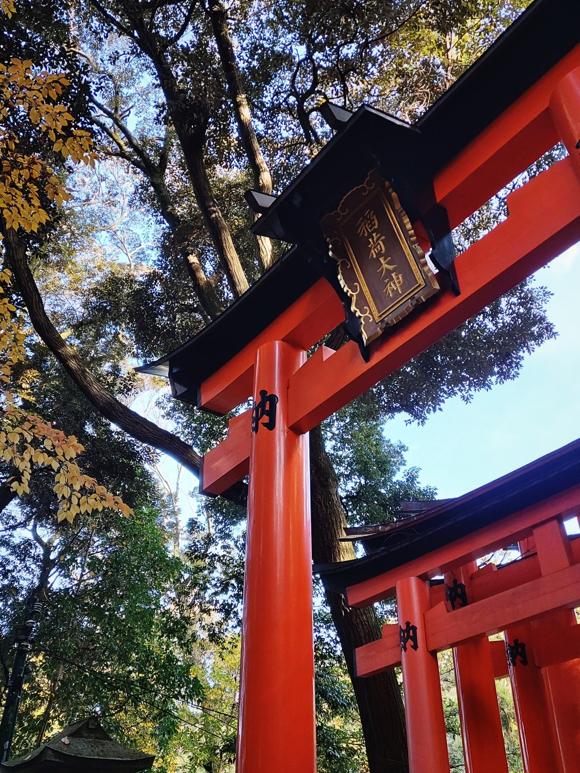 京都自助遊攻略