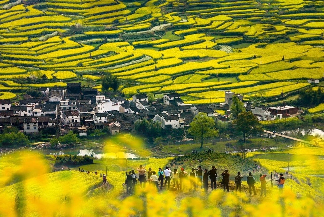 【婺源旅游攻略】最新赏花攻略|篁岭"二期花海"盛装上线,今年婺源油菜