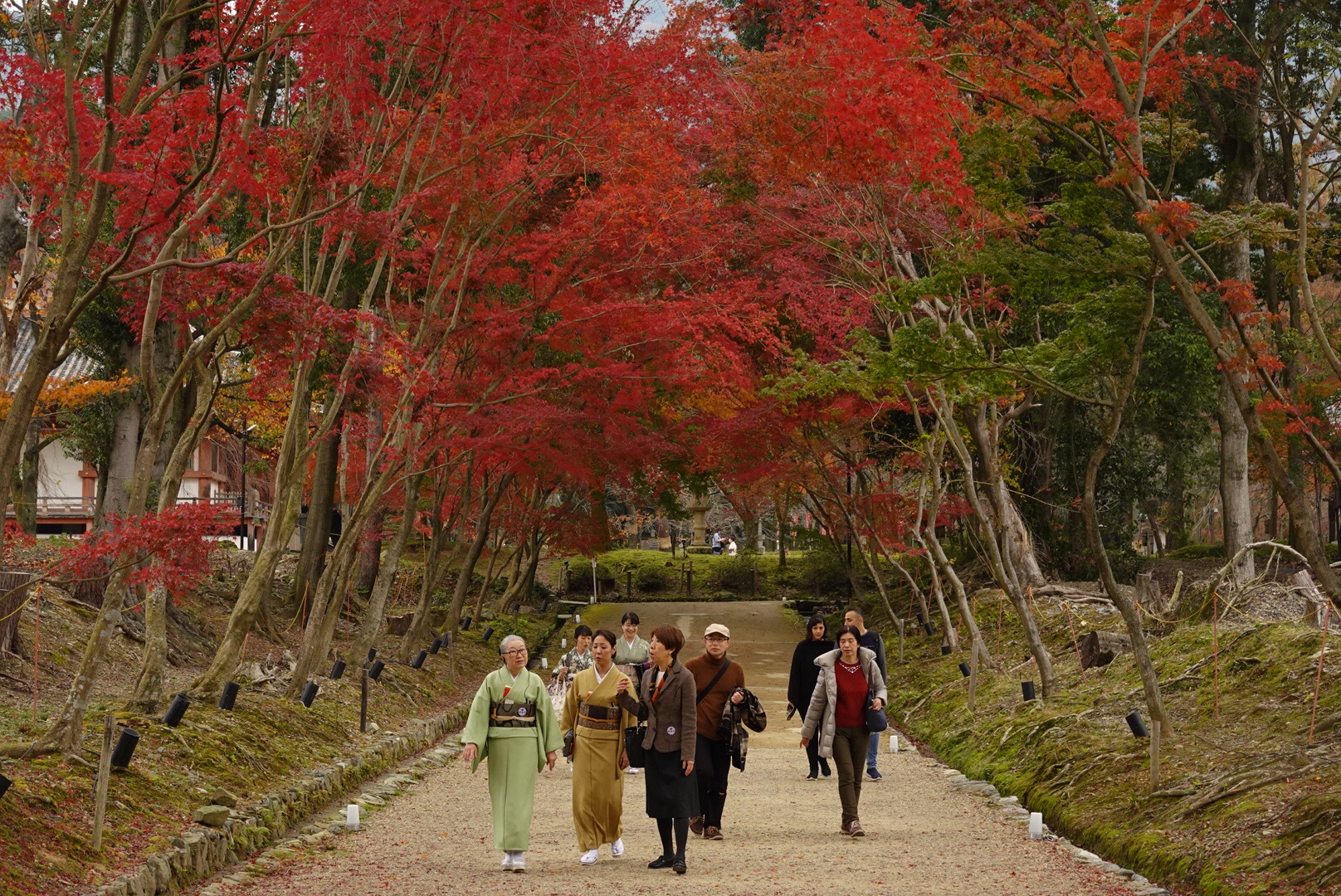 京都自助遊攻略