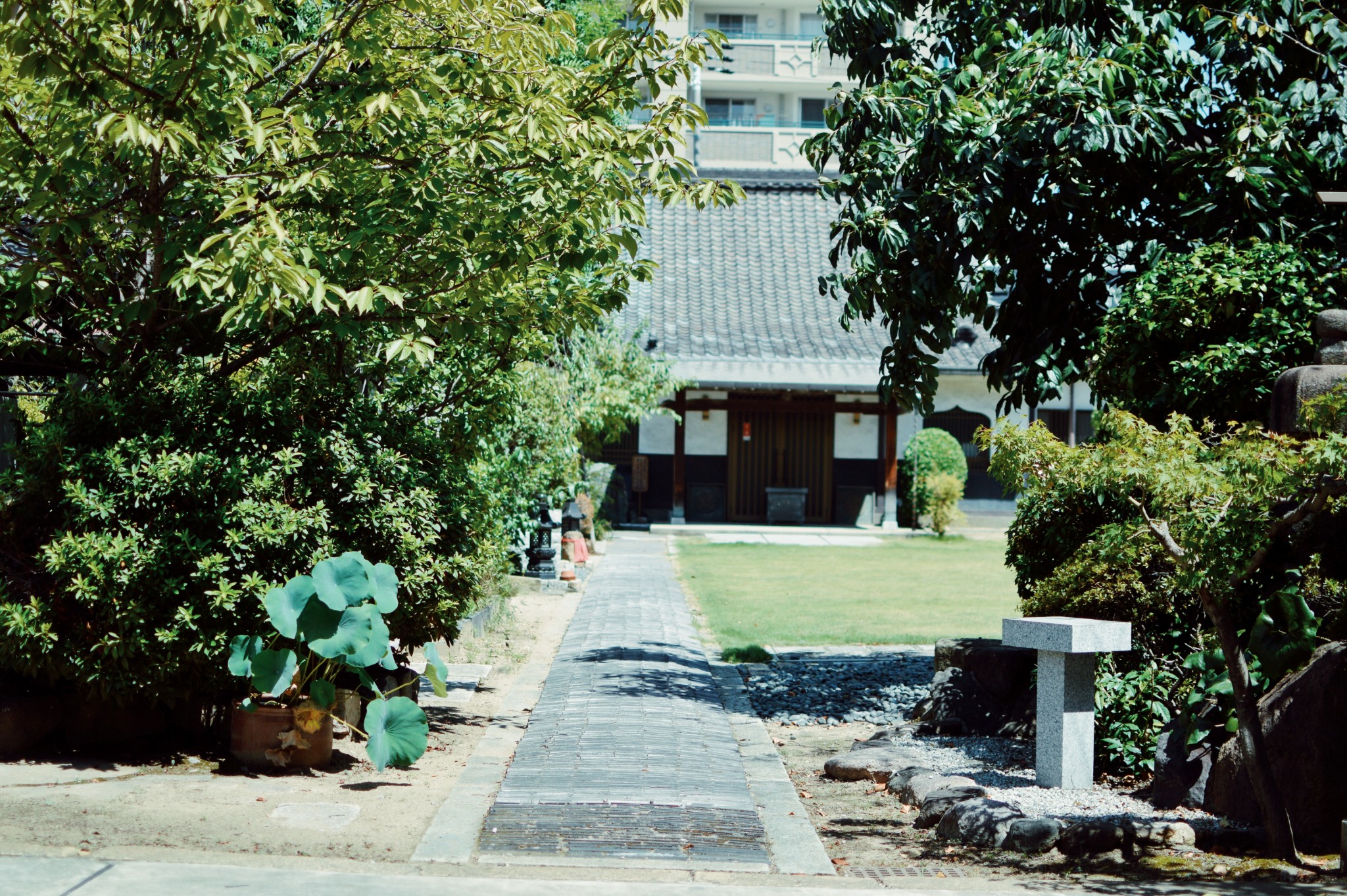 東京自助遊攻略