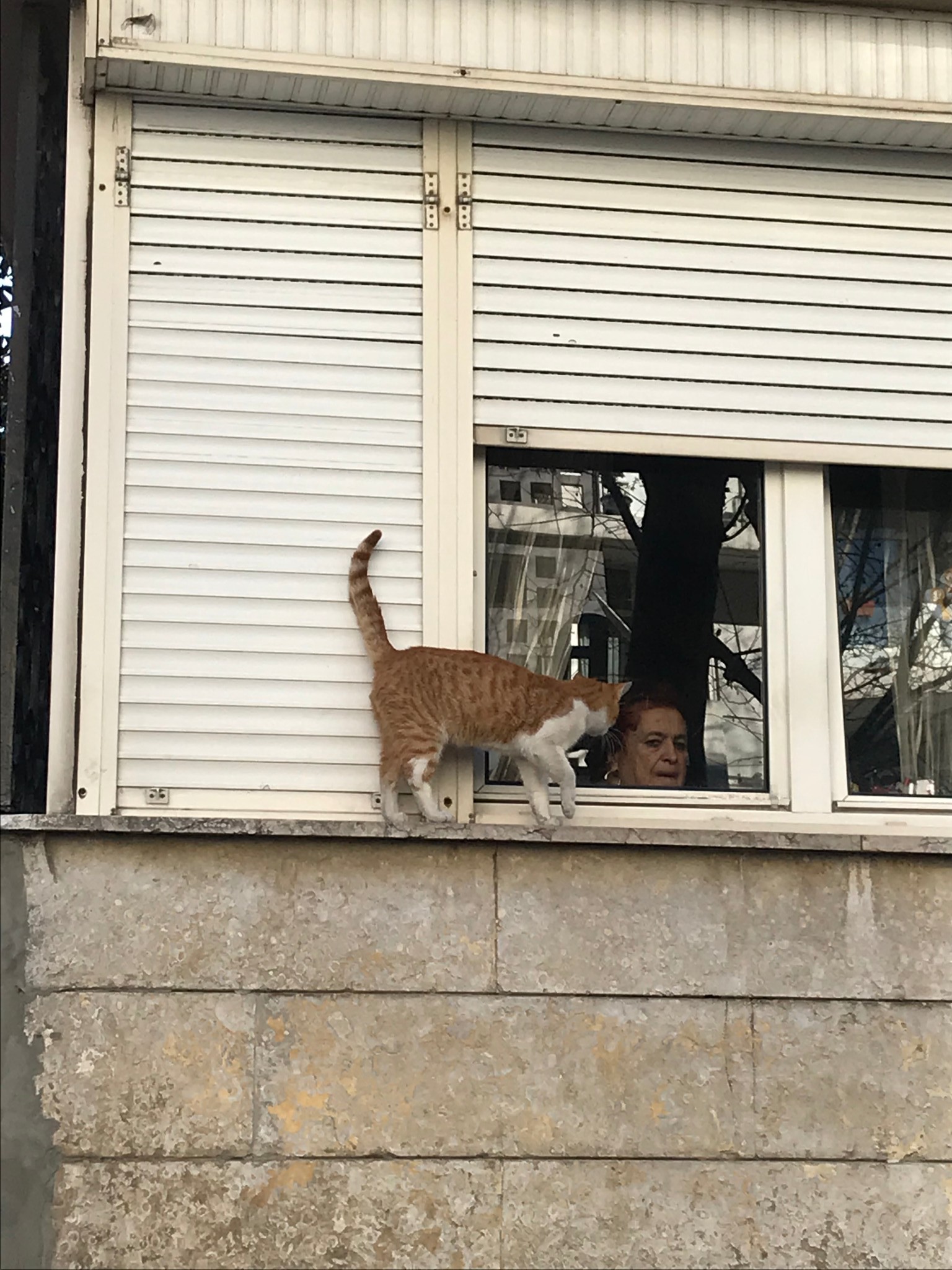 土耳其自助遊攻略