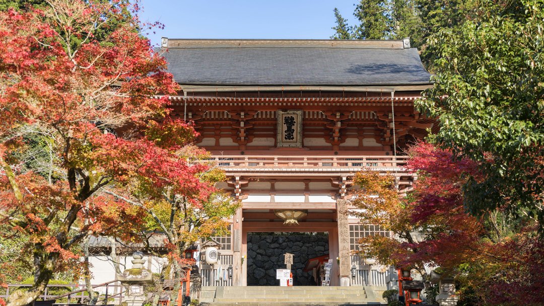 京都自助遊攻略