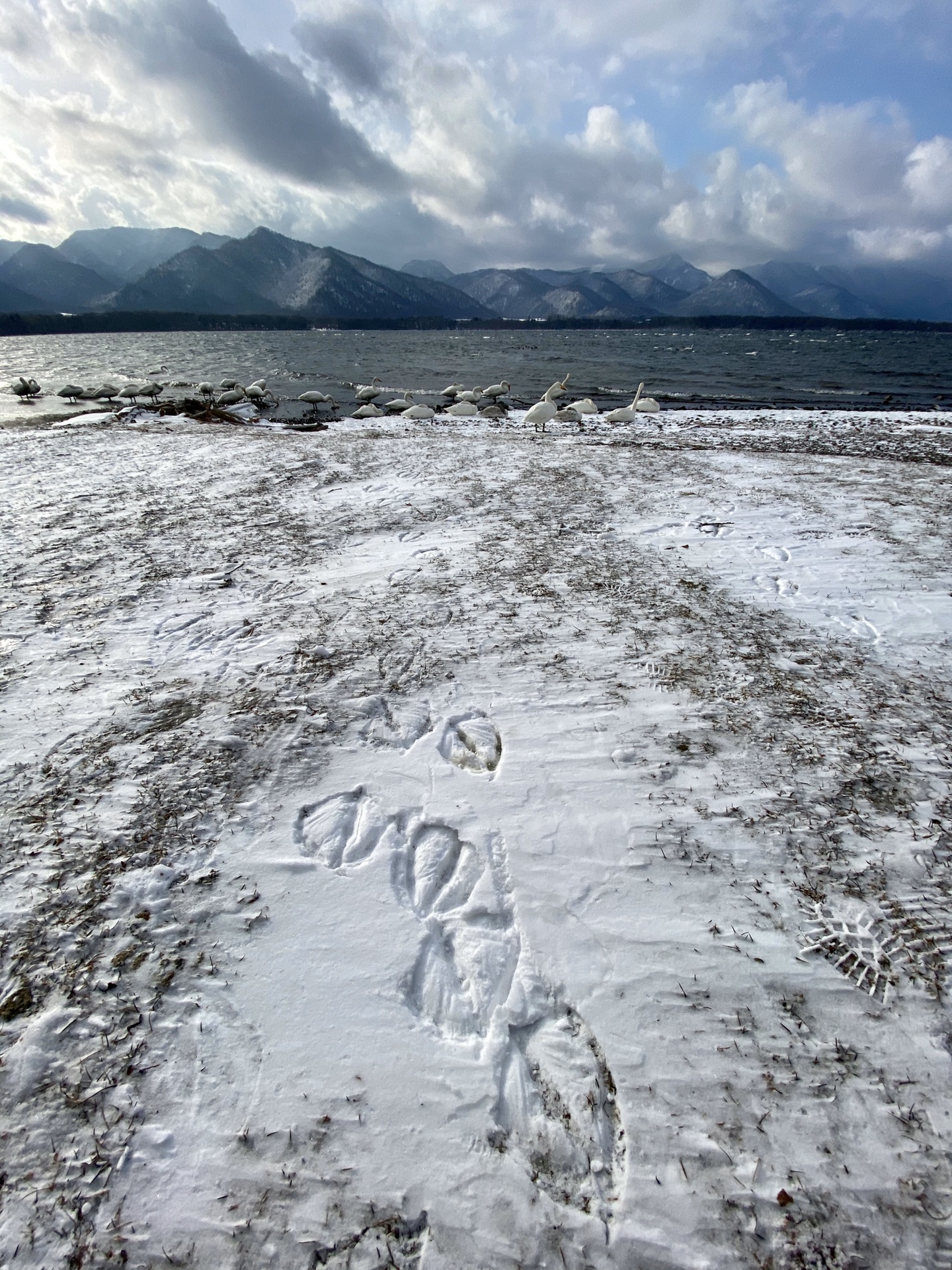 北海道自助遊攻略