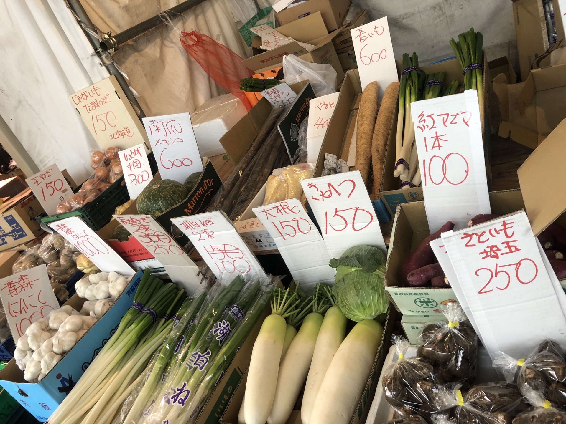 東京自助遊攻略