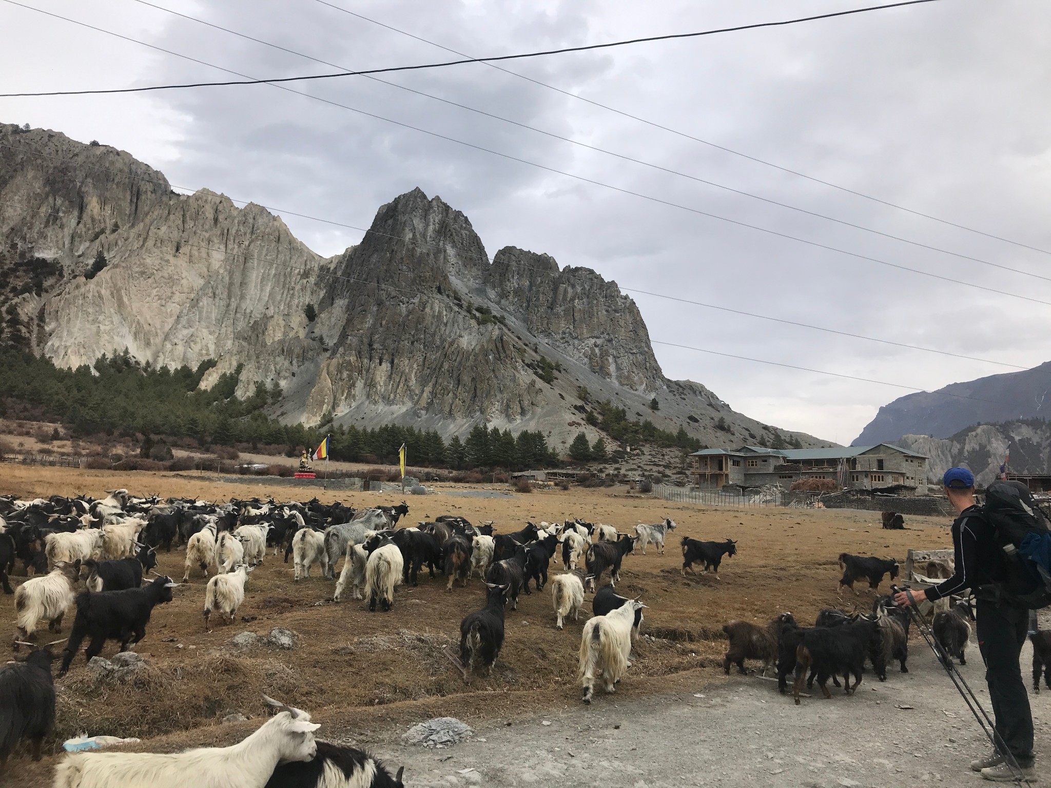 尼泊爾自助遊攻略