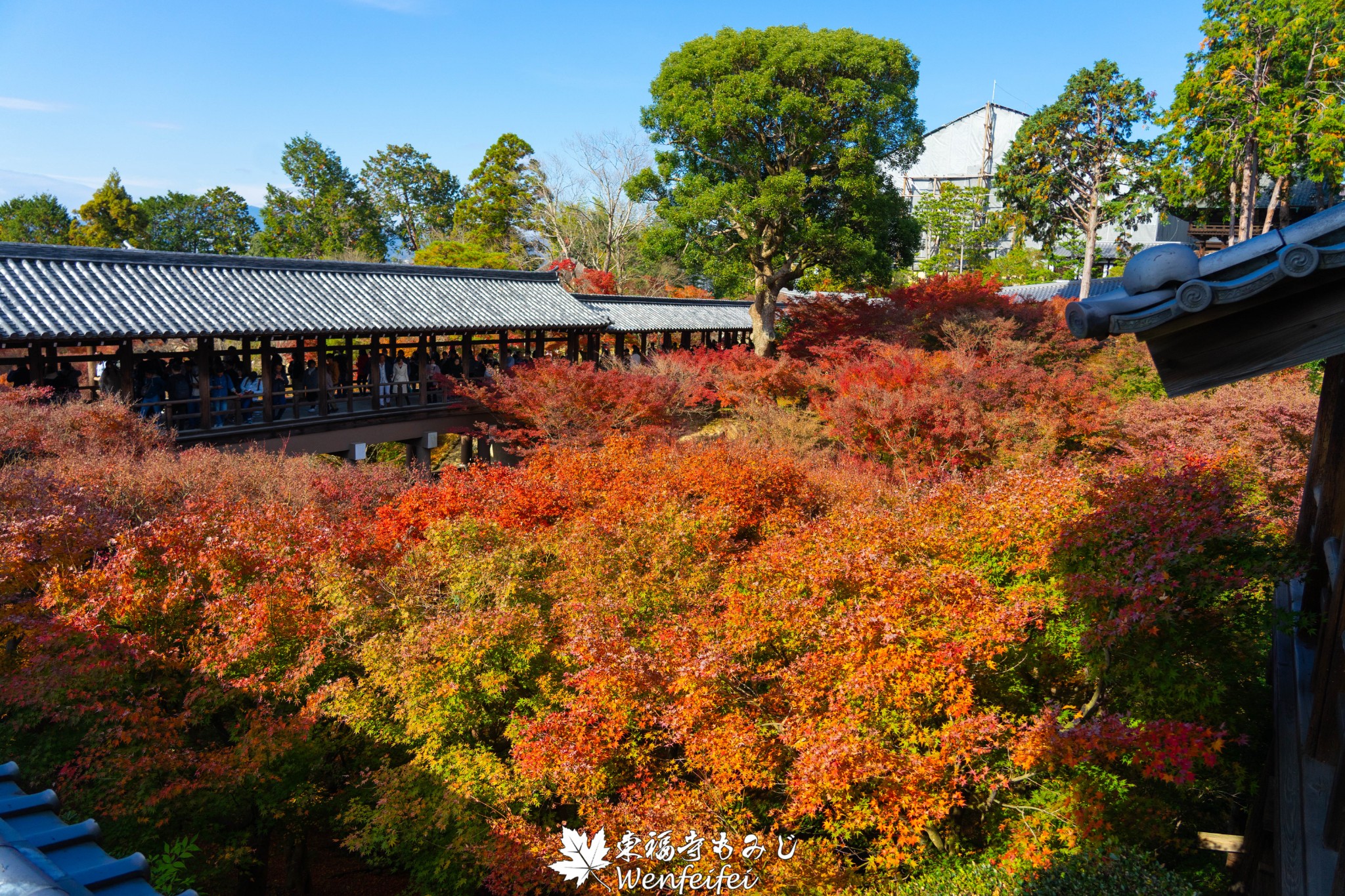 京都自助遊攻略