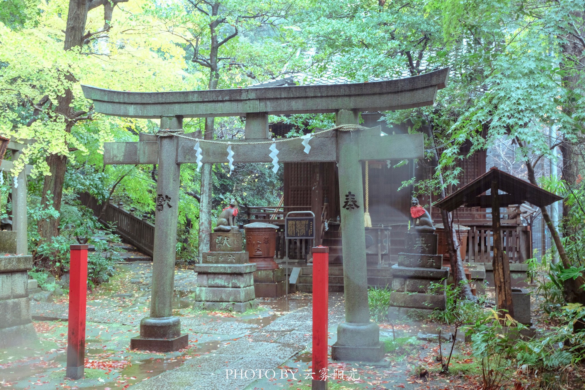 東京自助遊攻略