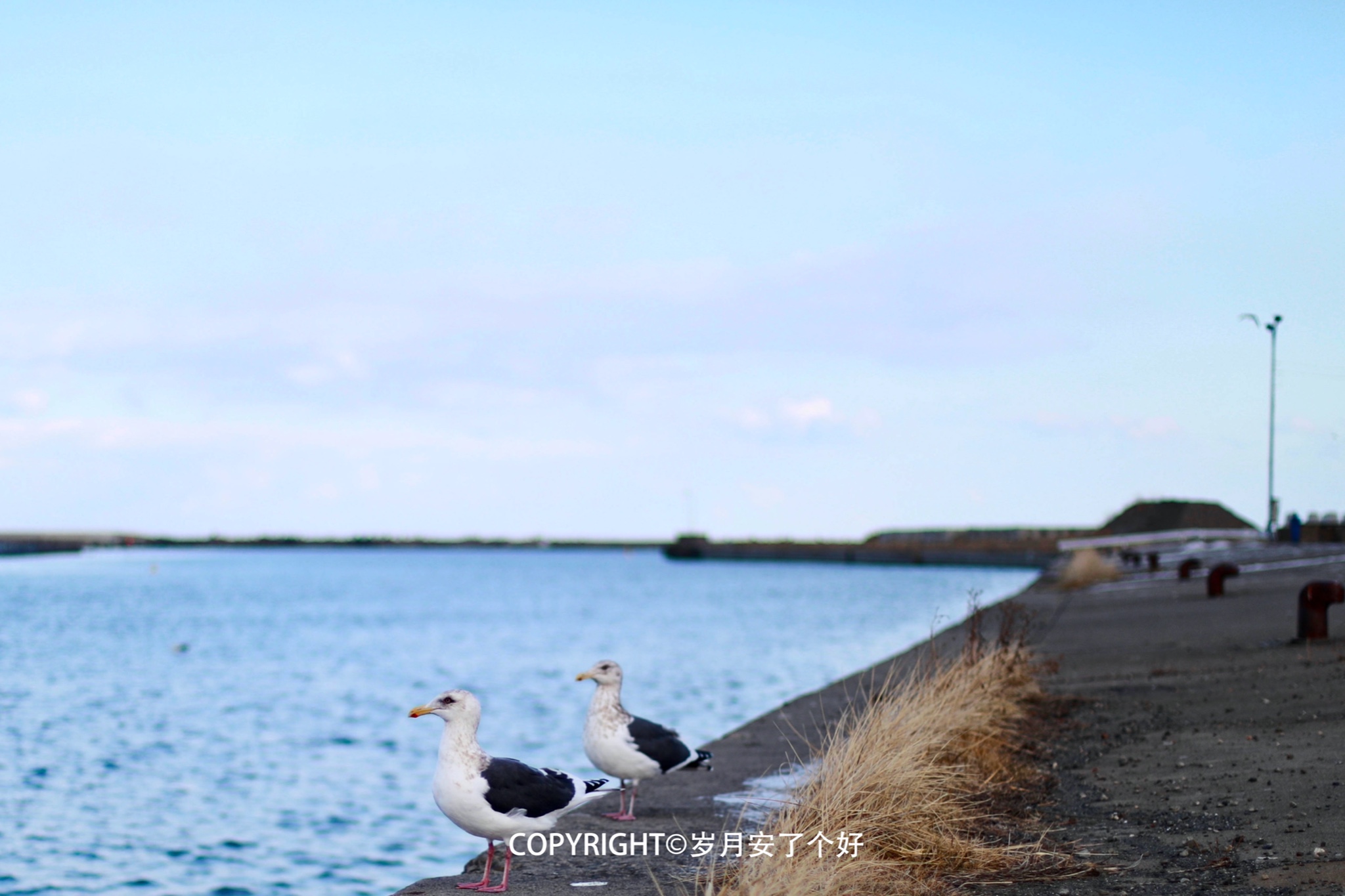 北海道自助遊攻略