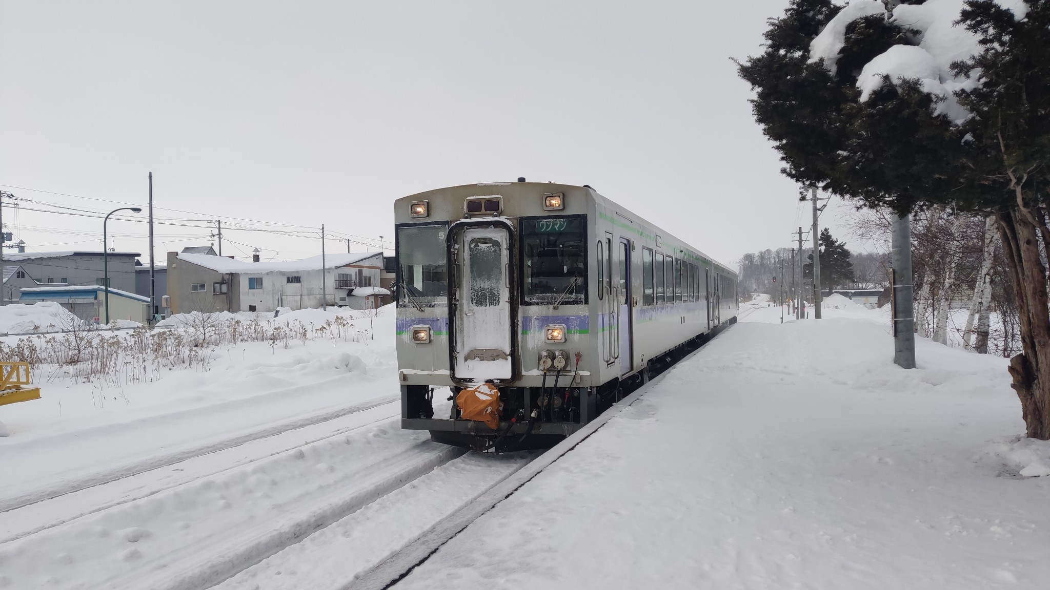 北海道自助遊攻略