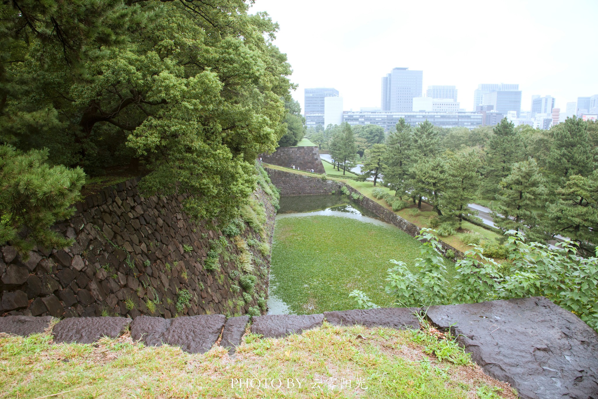 東京自助遊攻略