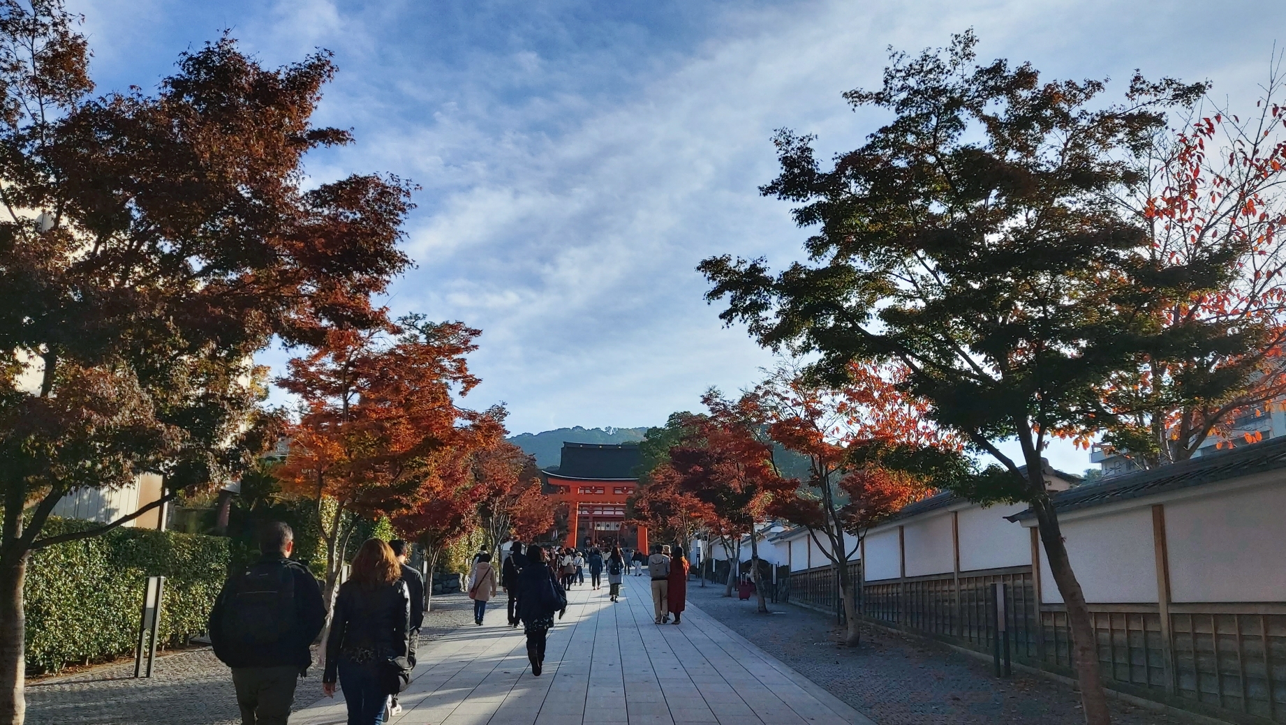 京都自助遊攻略