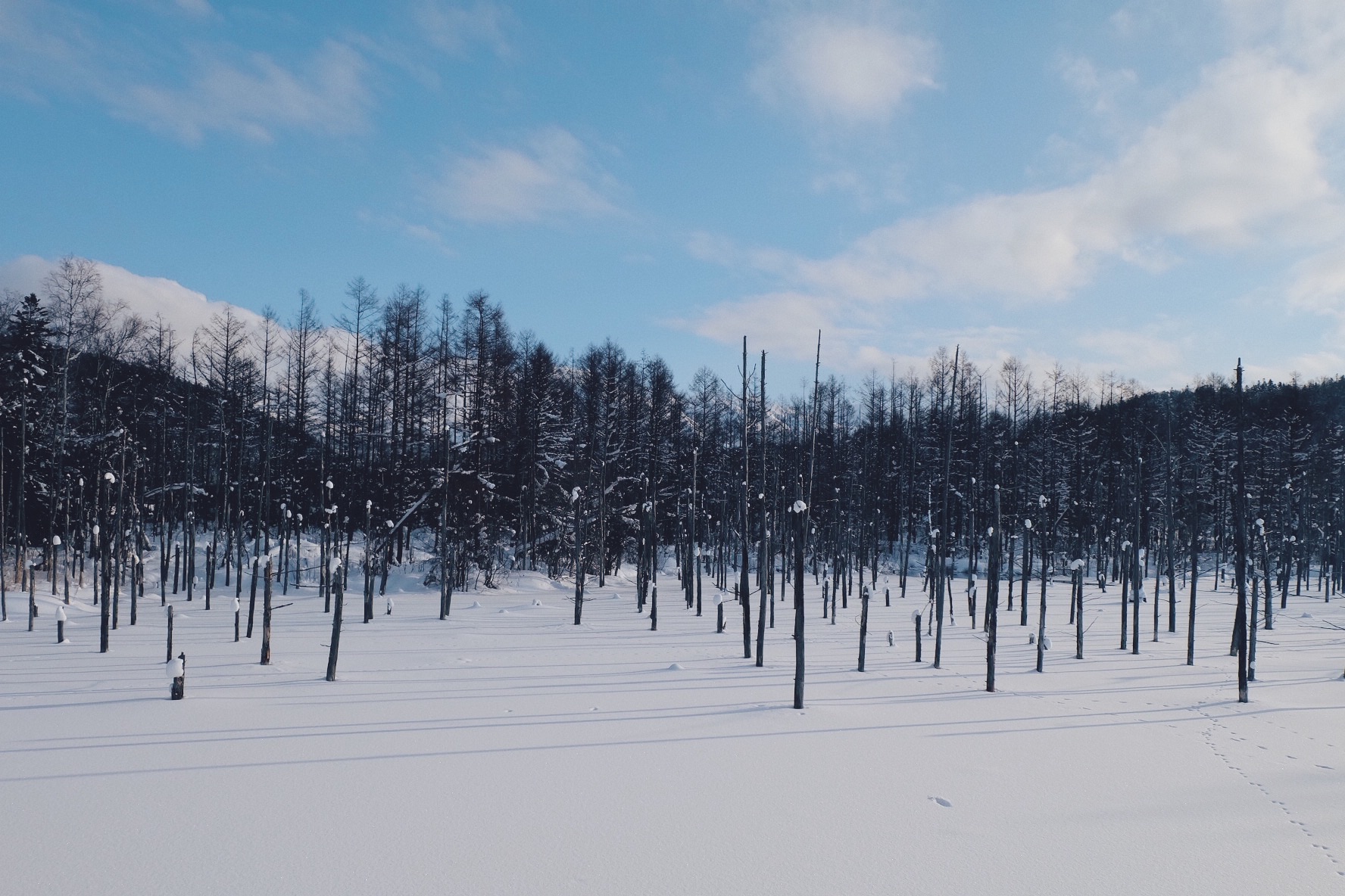 北海道自助遊攻略