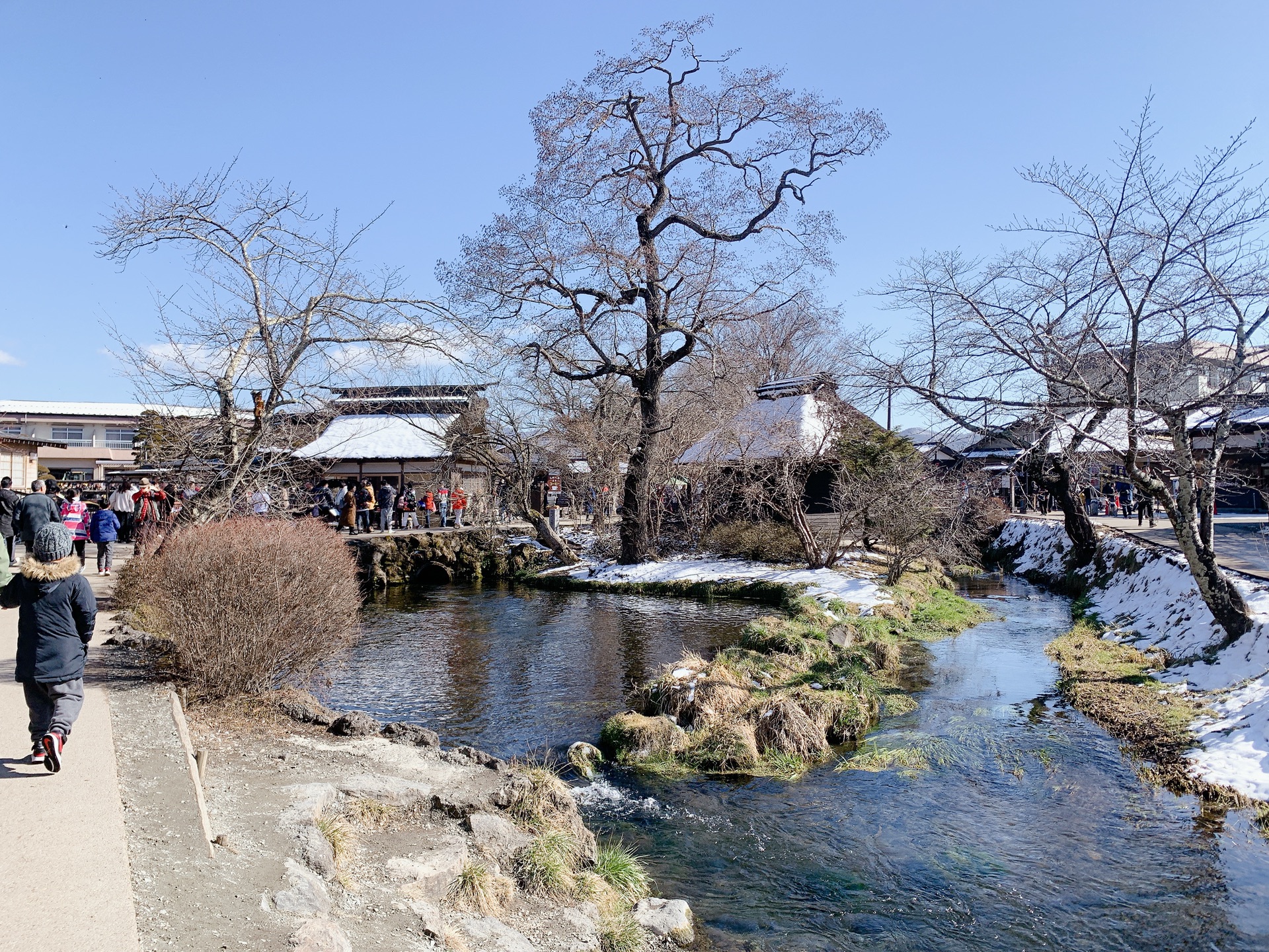 東京自助遊攻略