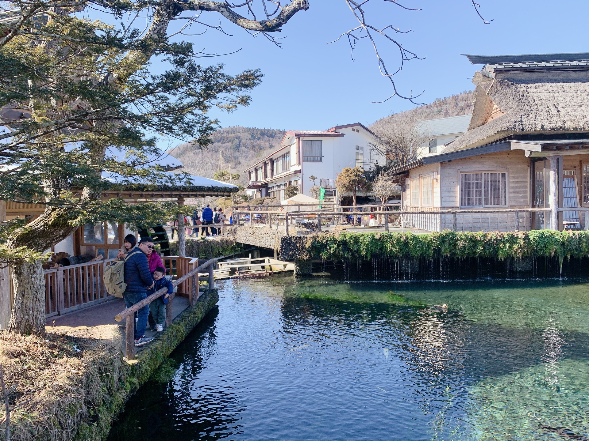 東京自助遊攻略