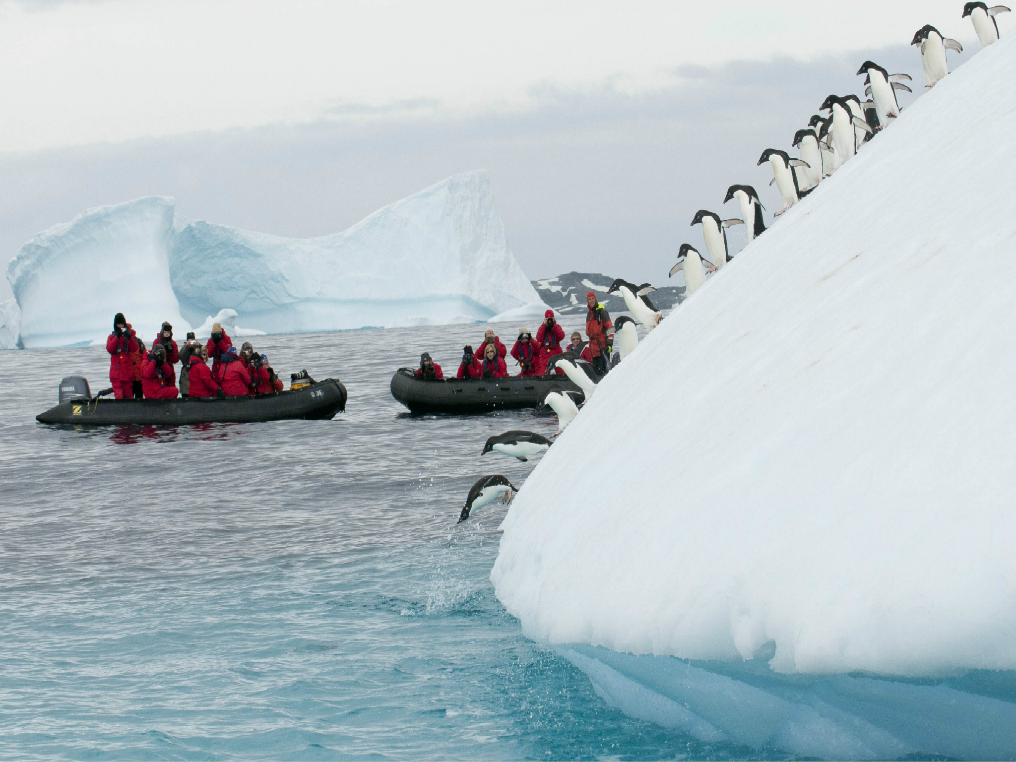 【海岛天空号】臻选南极三岛 阿根廷24天探险游(80小时超长登陆时长