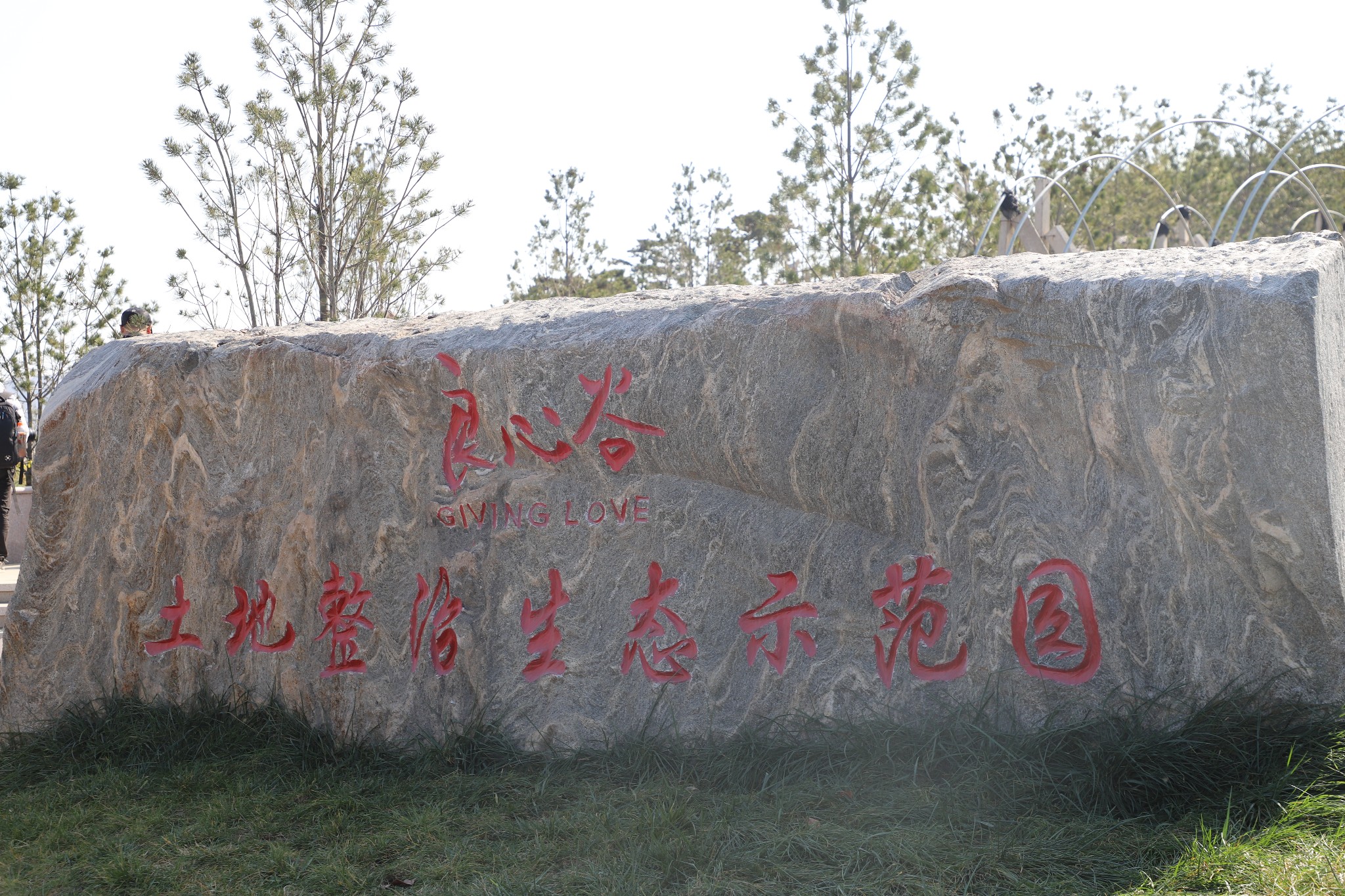 良心谷万亩菊花海,秋冬季宝藏打卡地