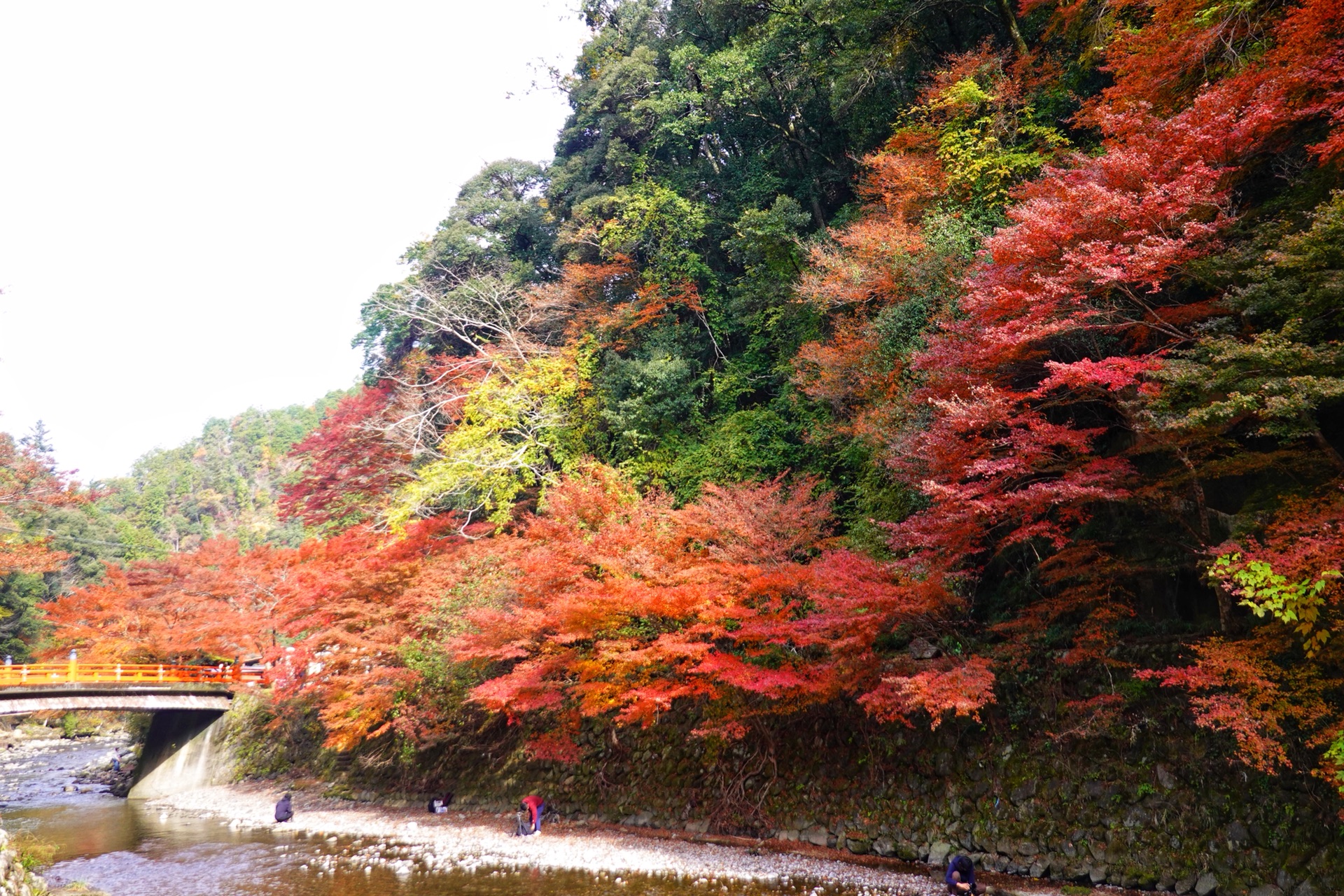 京都自助遊攻略