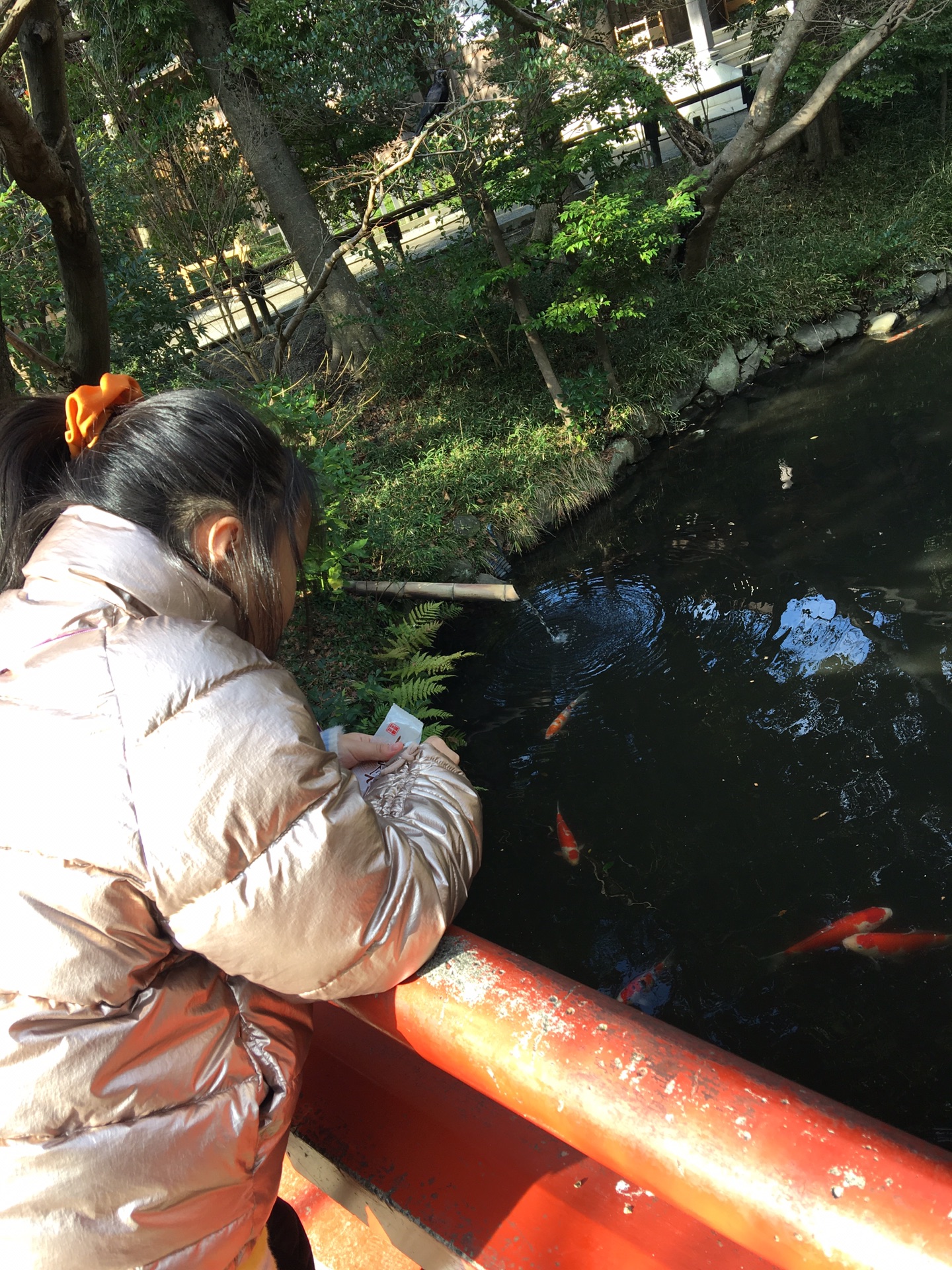 東京自助遊攻略