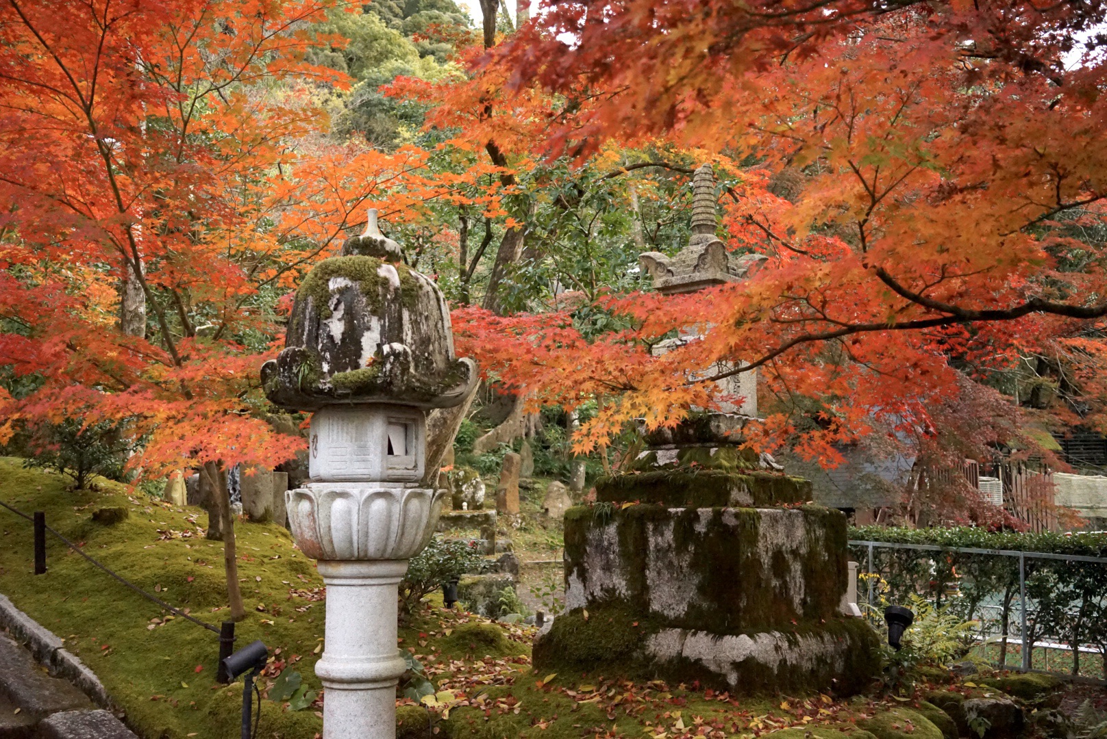 京都自助遊攻略