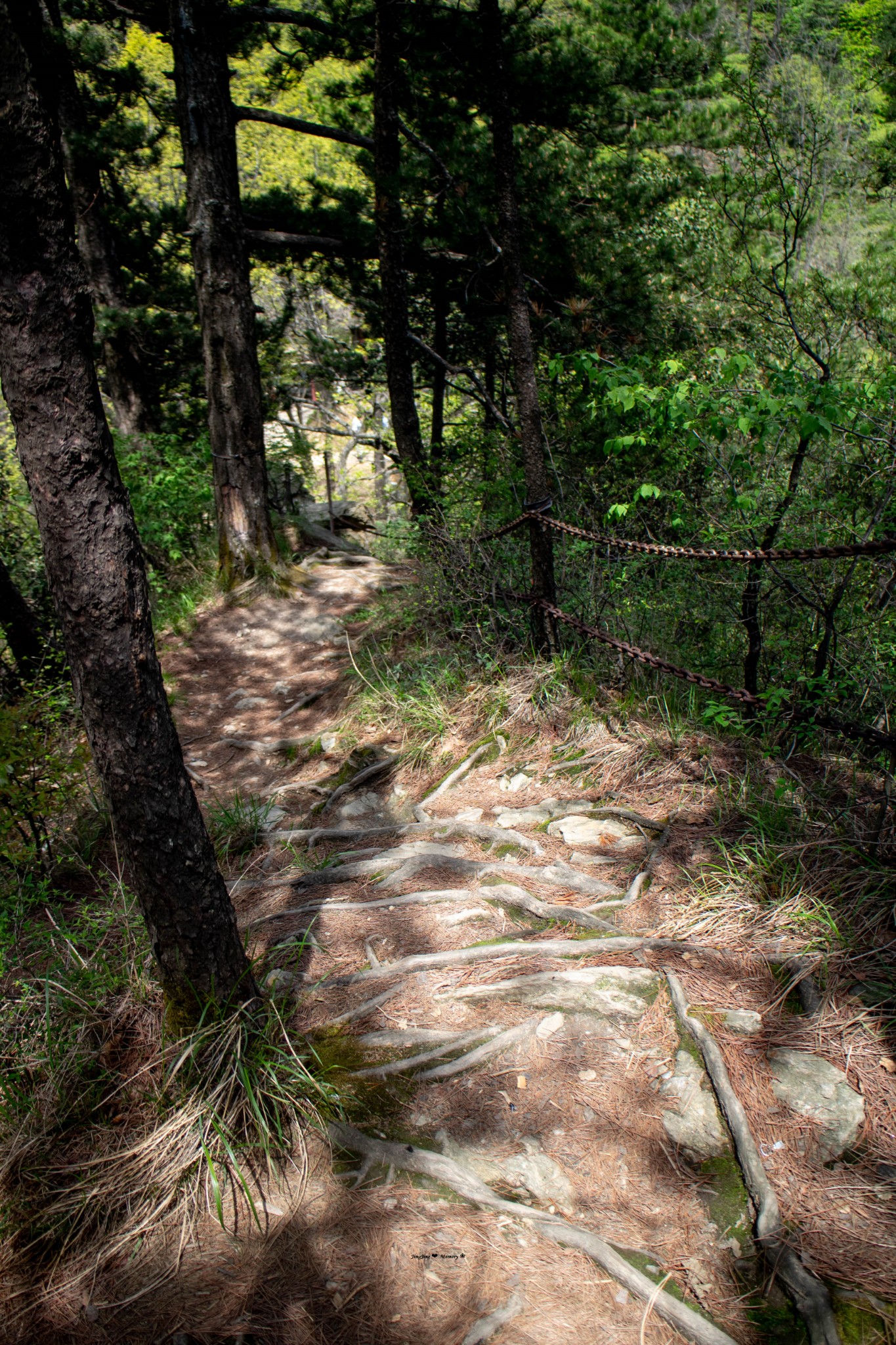 201678春游伏龙山,十堰自助游攻略 - 马蜂窝