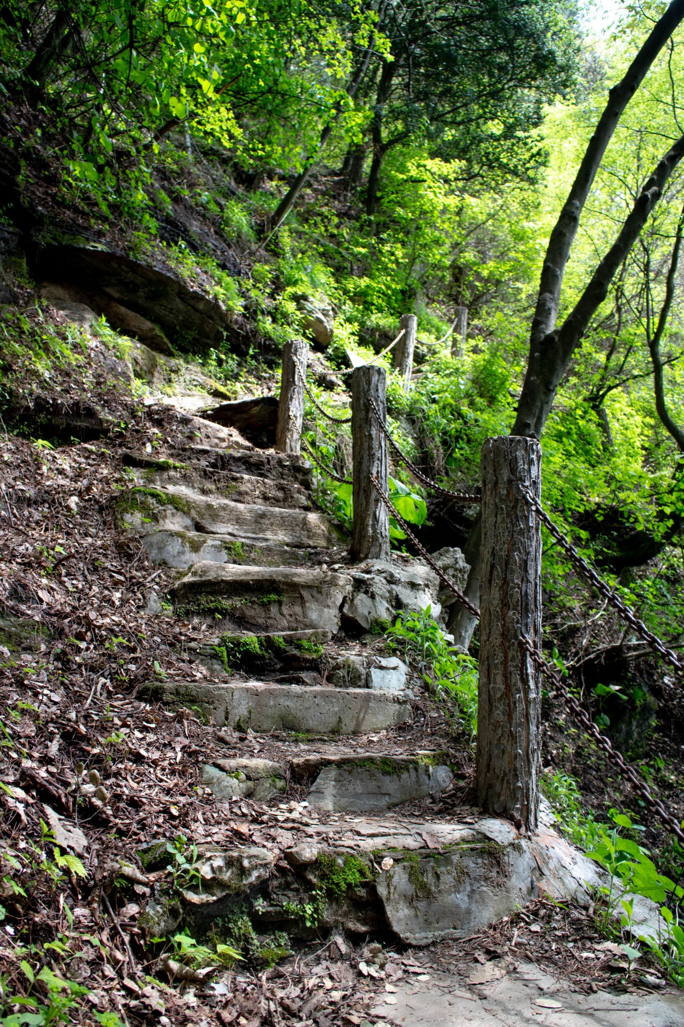 201678春游伏龙山,十堰自助游攻略 - 马蜂窝