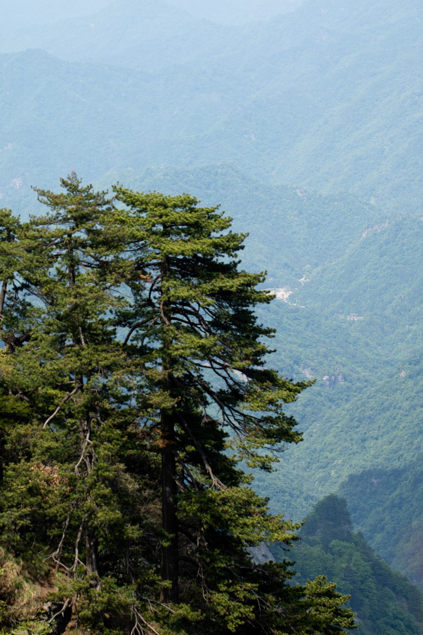 201678春游伏龙山,十堰自助游攻略 - 马蜂窝